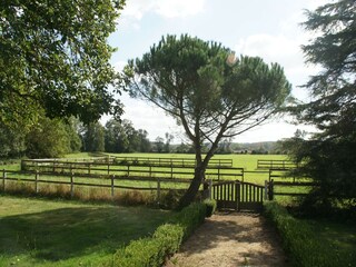 Holiday house Cinais Outdoor Recording 16