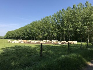 Casa per le vacanze Cinais Ambiente 35