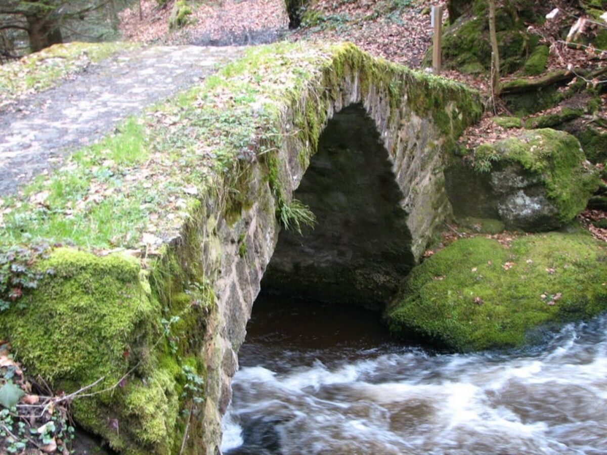 Ferienhaus Valcivières Umgebung 22