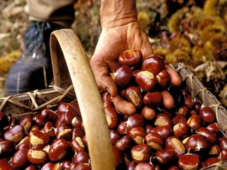 Casa de vacaciones Valcivières  40