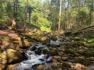 Casa per le vacanze Valcivières Ambiente 35