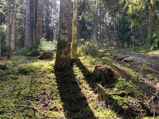 Ferienhaus Valcivières Umgebung 17