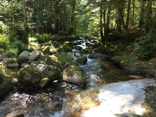 Casa per le vacanze Valcivières Ambiente 21
