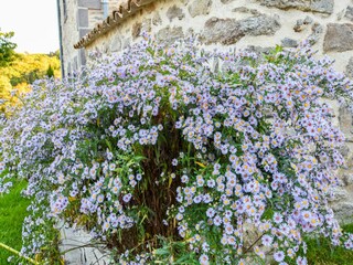 Ferienhaus Lavaudieu Außenaufnahme 2
