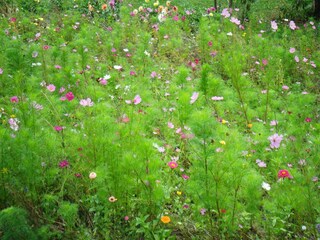 Vakantiehuis Lavaudieu Buitenaudio-opname 6