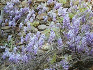 Casa per le vacanze Lavaudieu Ambiente 30