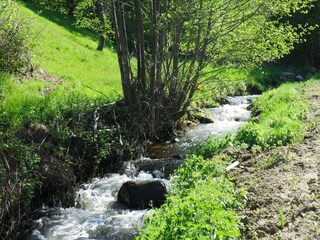 Holiday house Lavaudieu Environment 24