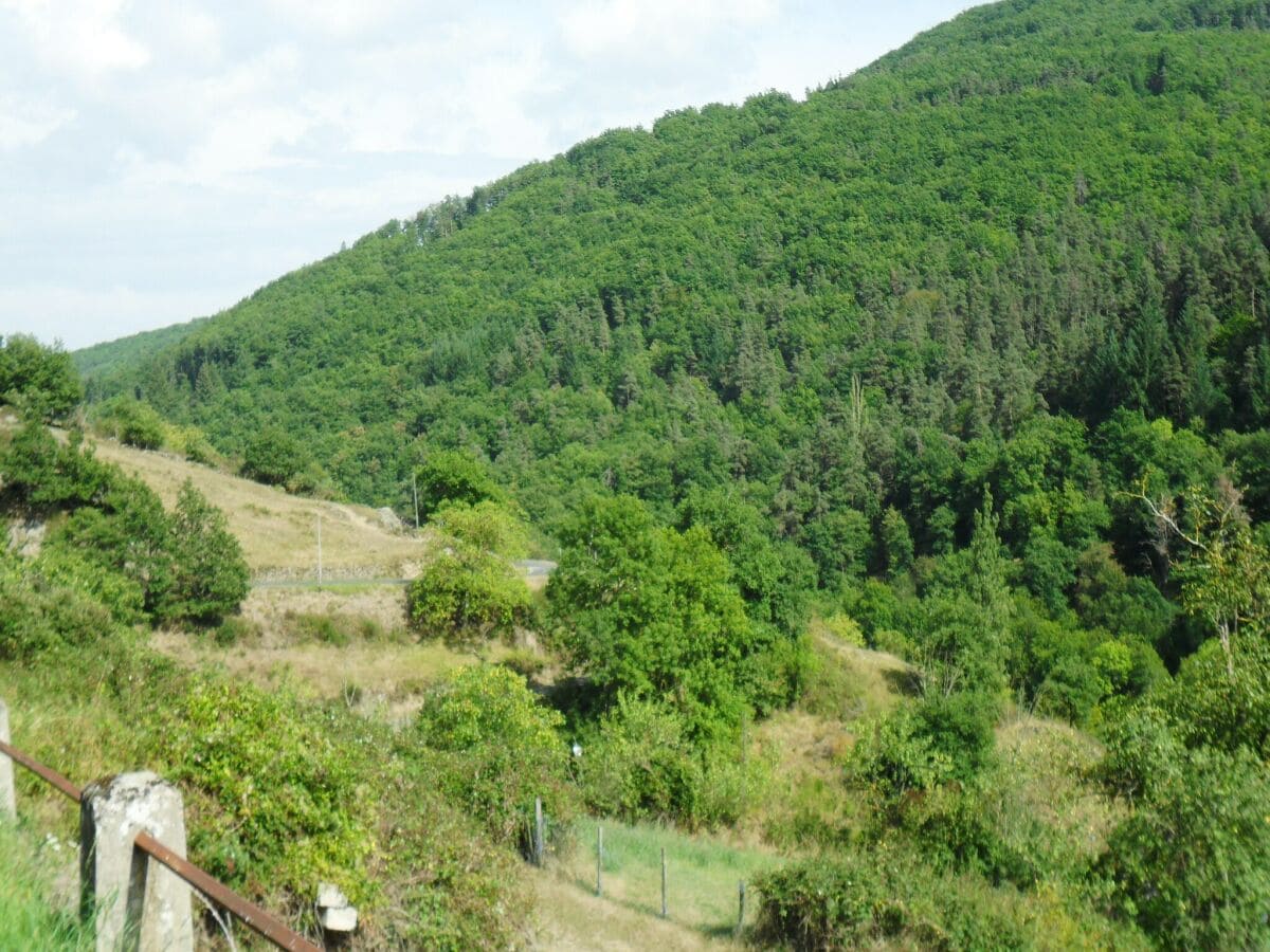 Ferienhaus Lavaudieu Umgebung 25