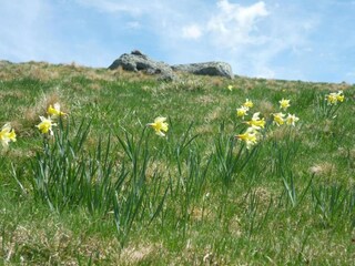 Casa per le vacanze Lavaudieu Ambiente 35