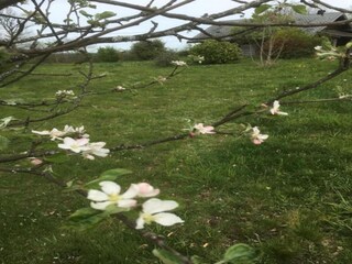 Ferienhaus Lavaudieu Umgebung 35