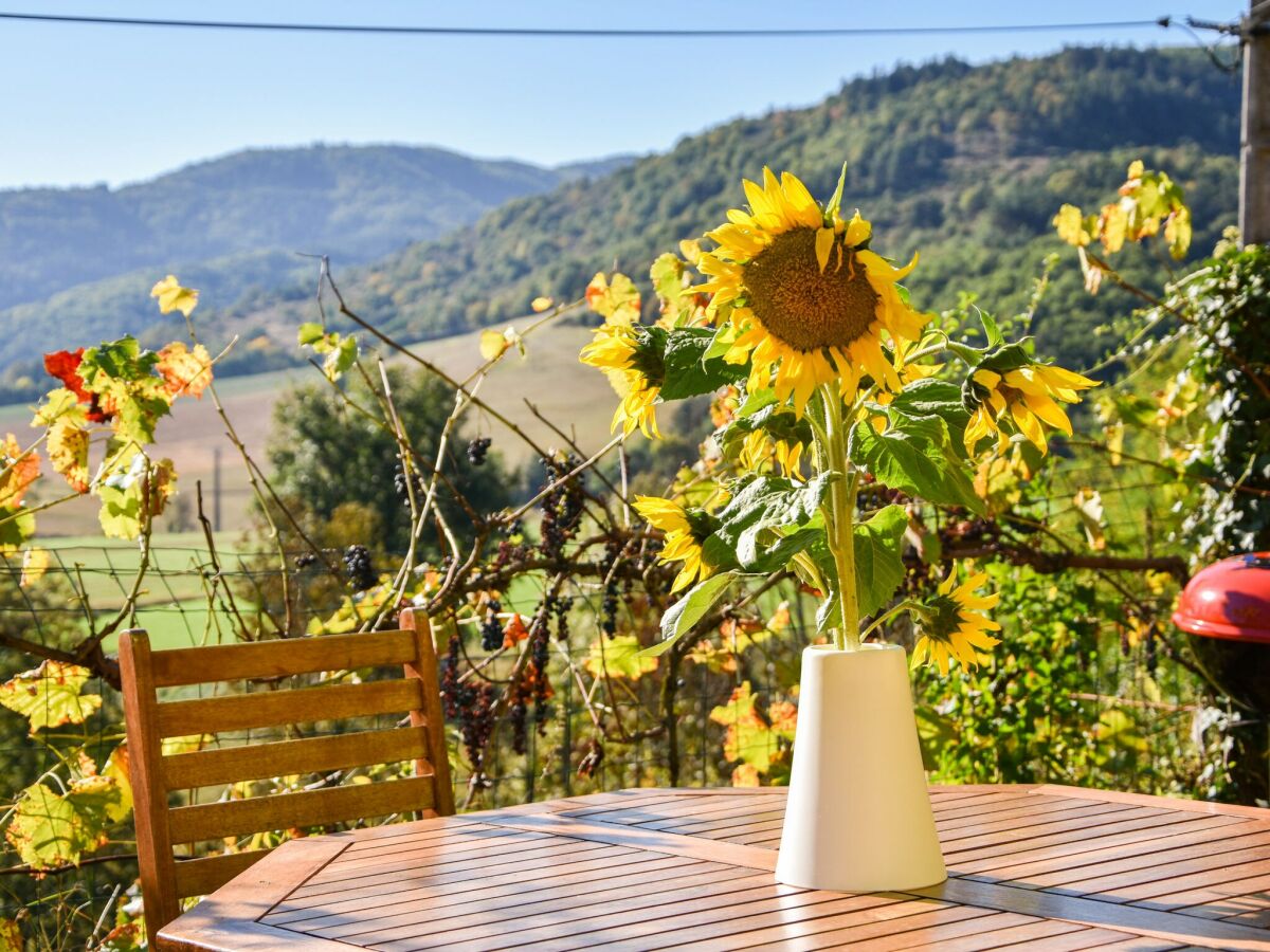 Ferienhaus Lavaudieu  39