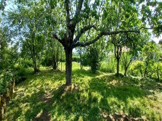 Maison de vacances Lavaudieu Environnement 34