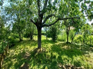 Vakantiehuis Lavaudieu Omgeving 34