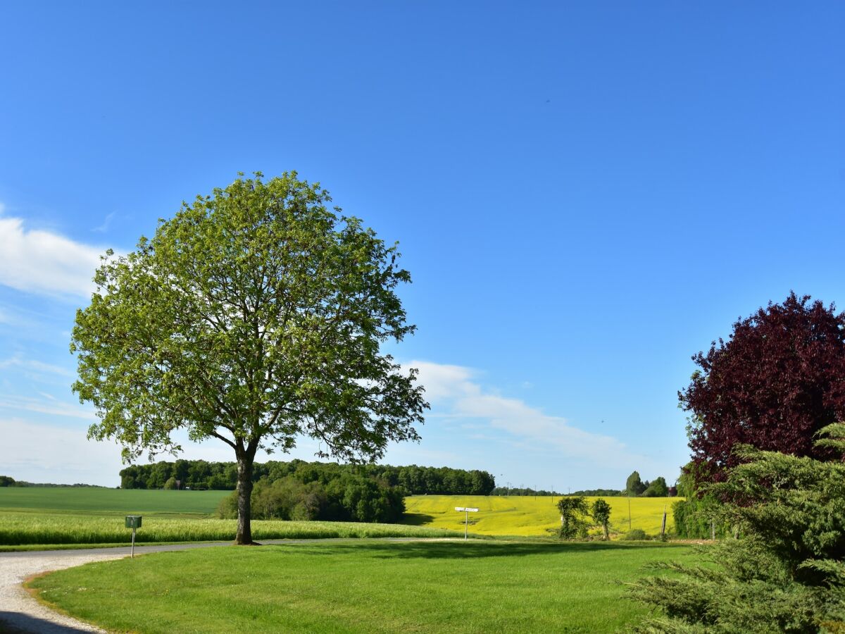 Ferienhaus Grandchamp Umgebung 38