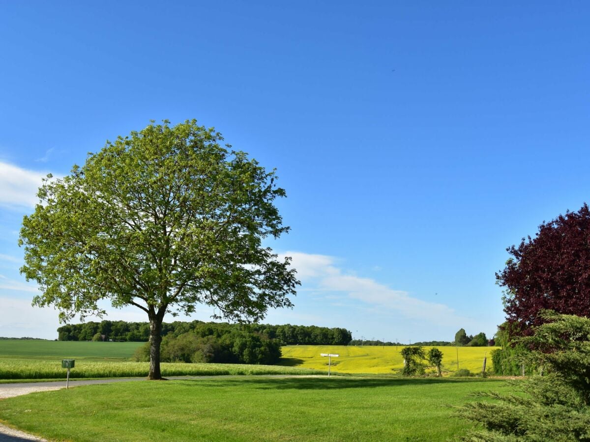 Ferienhaus Grandchamp Umgebung 35