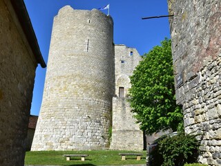 Casa de vacaciones Yèvre-la-Ville Entorno 29