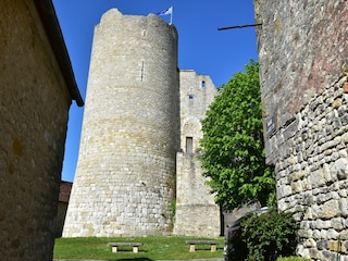 Maison de vacances Yèvre-la-Ville Environnement 31