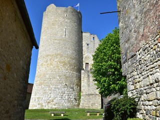 Vakantiehuis Yèvre-la-Ville Omgeving 34