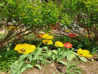 Holiday house Yèvre-la-Ville Environment 27