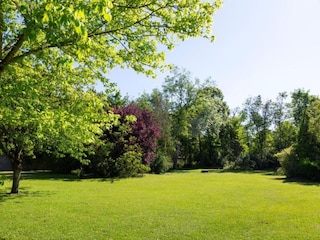Ferienhaus Yèvre-la-Ville Umgebung 35