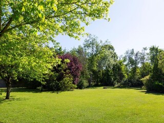 Vakantiehuis Yèvre-la-Ville Omgeving 36