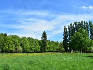 Ferienhaus Bouzy-la-Forêt Außenaufnahme 3