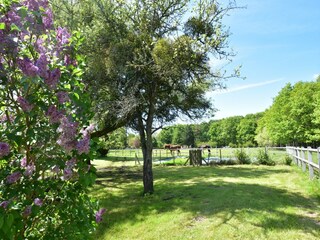 Ferienhaus Bouzy-la-Forêt Umgebung 20