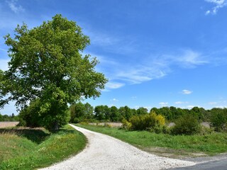 Ferienhaus Bouzy-la-Forêt Umgebung 22
