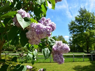 Holiday house Bouzy-la-Forêt  29