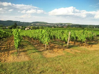 Villa Boissières Environnement 35