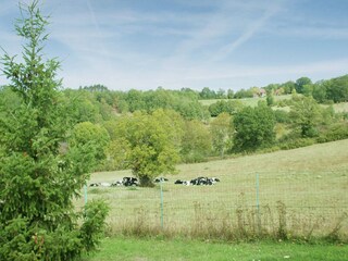 Casa per le vacanze Les Arques Ambiente 30