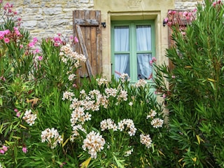 Ferienhaus Les Arques Außenaufnahme 5