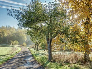 Villa Salviac Environment 37