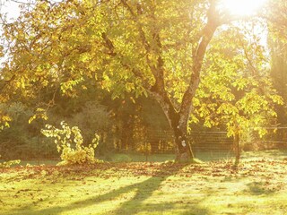 Ferienhaus Gindou Außenaufnahme 7