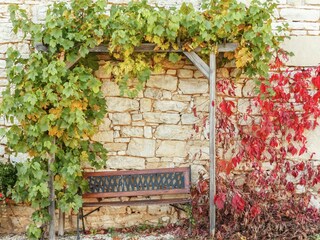 Maison de vacances Gindou  40