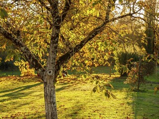 Casa de vacaciones Gindou Grabación al aire libre 7