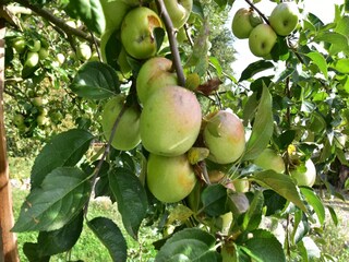 Vakantiehuis Frayssinet-le-Gélat  36