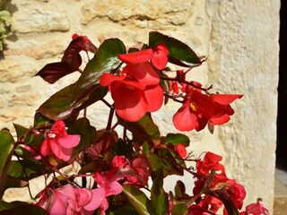 Casa per le vacanze Catus  36