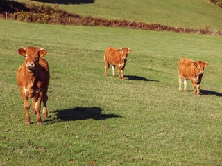 Casa per le vacanze Dégagnac Ambiente 34