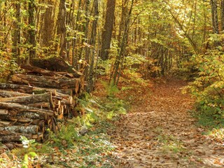 Casa per le vacanze Dégagnac Ambiente 36