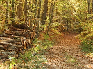 Ferienhaus Dégagnac Umgebung 32