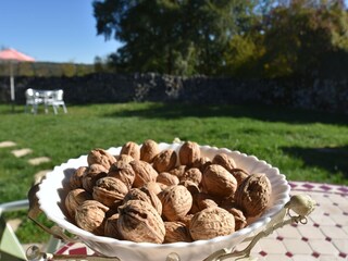 Holiday house Alvignac  34