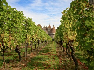 Casa per le vacanze Bélaye  40