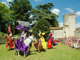 Ferienhaus Saint-Pierre-sur-Dropt Umgebung 30
