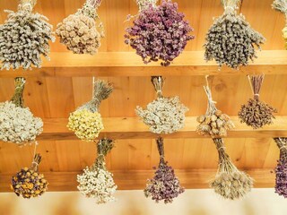 Maison de vacances Saint-Pierre-sur-Dropt  37