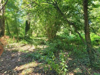 Vakantiehuis Saint-Pierre-sur-Dropt Omgeving 21