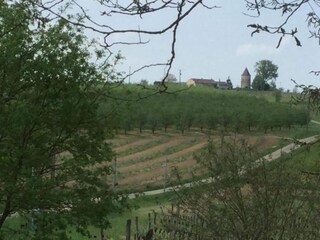 Vakantiehuis Saint-Pierre-sur-Dropt Omgeving 22