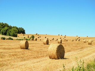 Holiday cottage Montaut (Lot-et-Garonne) Environment 36