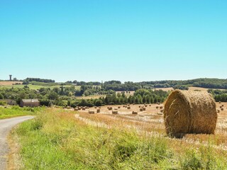 Maison de vacances Montaut (Lot-et-Garonne) Environnement 26