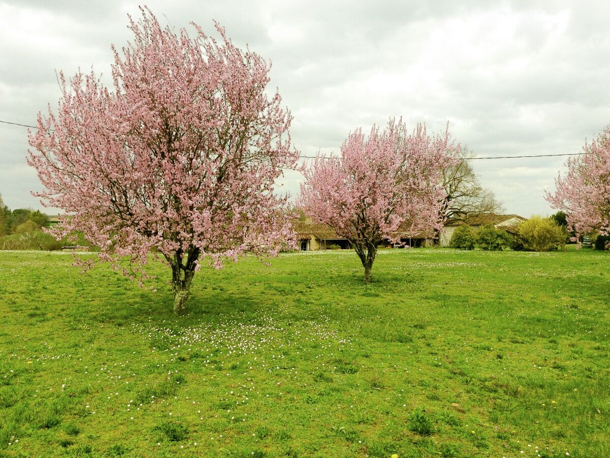 Cottage Montaut (Lot-et-Garonne) Außenaufnahme 10